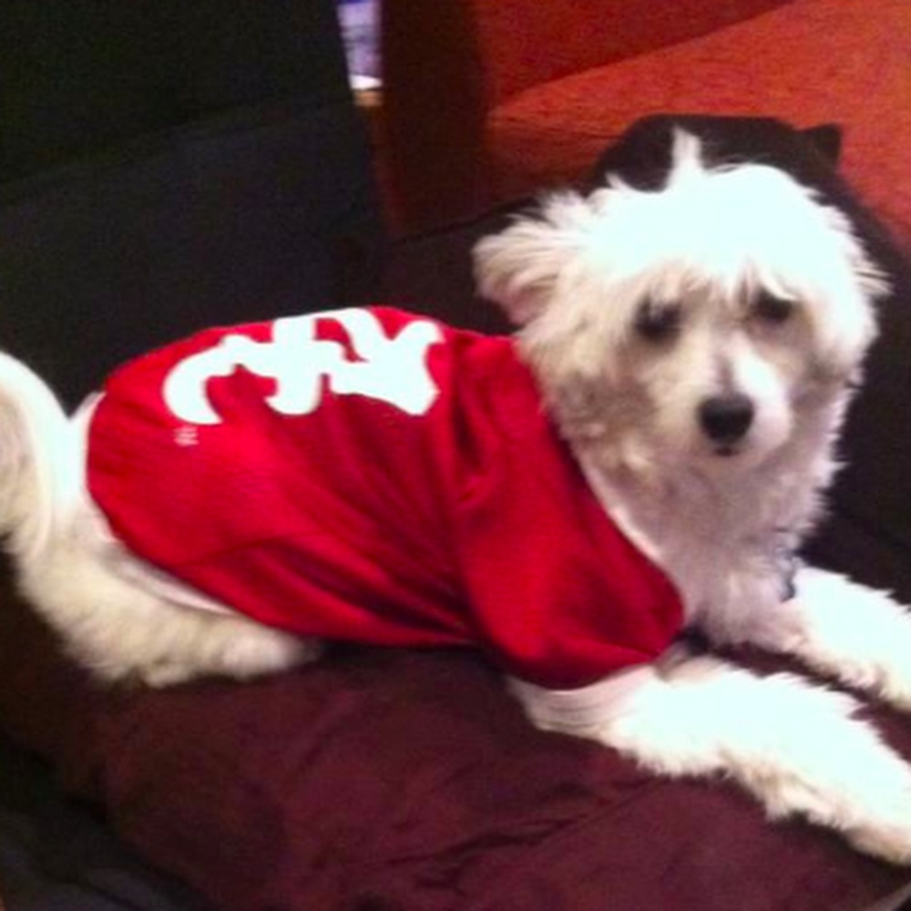 Meet your Posher, Patrick